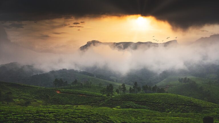 munnar kerala
